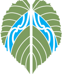 Te Whau Pathway Project